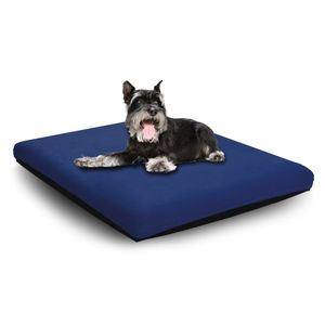 Pet Dreams Convoluted Foam